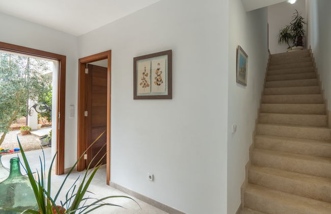 Son Vivot - Photo 20