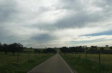 Arronches Villa - Foto 44