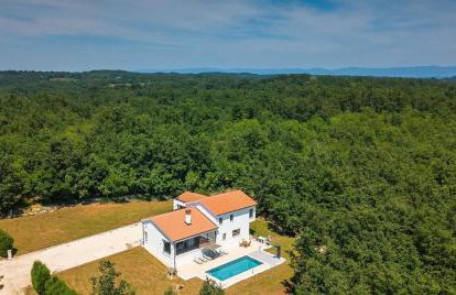 Vila Prisunca jacuzzi & swimming pool - Foto 1