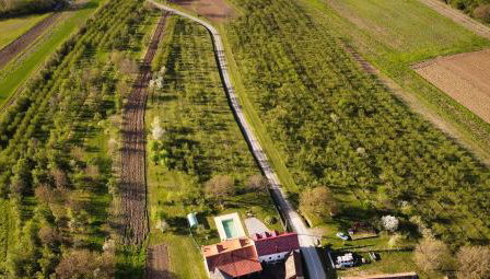 Šljivik stari - Foto 3