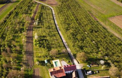 Šljivik stari - Photo 3