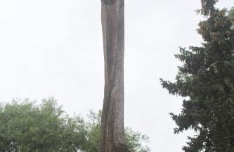 Landhotel Storchenkrug - Foto 57