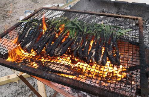 Caseta a masia Les Corominotes - Foto 38