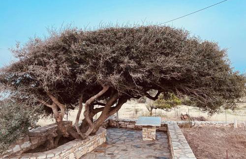 Anevalousa Beach House - Foto 7