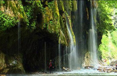 Chrysandra - Foto 39