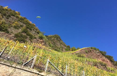 Dolcevita - Photo 62