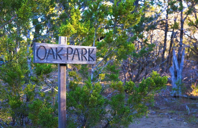 Creator Cabin, Contemporary Getaway With Sauna - Foto 20