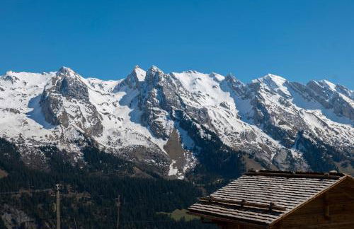 Alpage la Grand Montagne 1858 - Photo 68