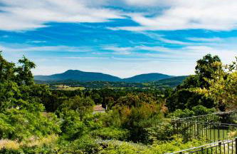 Le Clos des Eucalyptus - Foto 42