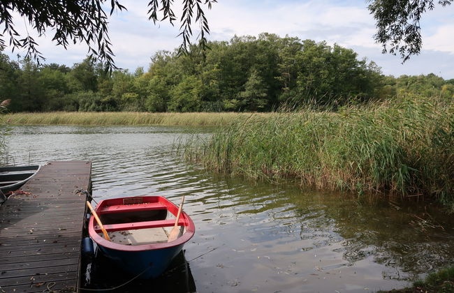 Am Pälitzsee - Foto 21