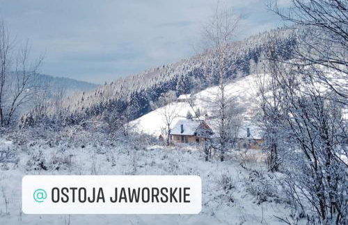 Ostoja Jaworskie - Foto 29