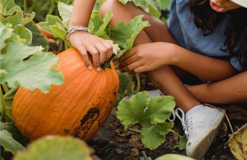 El Lagar del Abuelo en los Arribes del Duero, Badilla, Zamora - Foto 8