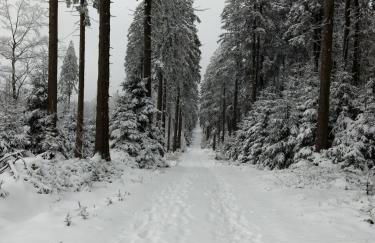 FeWo 12 45qm bis 3 Pers nahe Winterberg - Foto 17