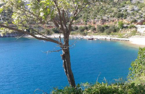 Traditional Stone House Bura - Nature Park Velebit - Photo 19
