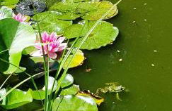 Ferienwohnung 3,2 km von Saarloius entfernt mit Terrasse und Garten - Foto 23