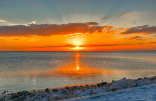 227-WIFI, New Paint, AMAZING Views, Close to BUCS stadium - Foto 31