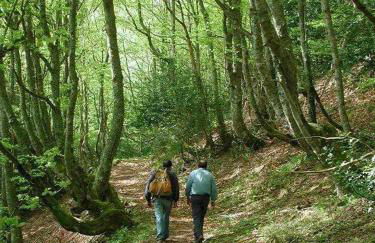 Apartamentos Valdecarzana Senda del Oso - Foto 18