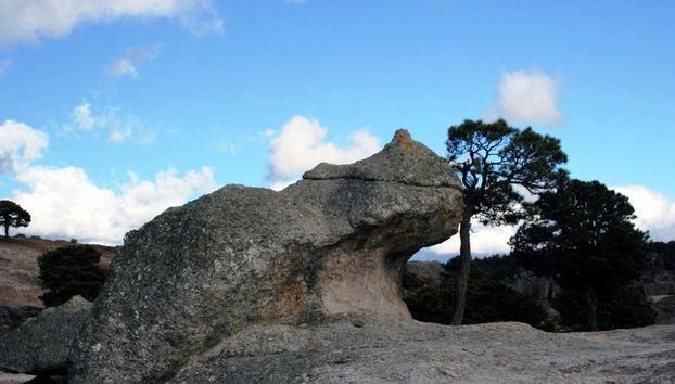 Creel Tour - Photo 4