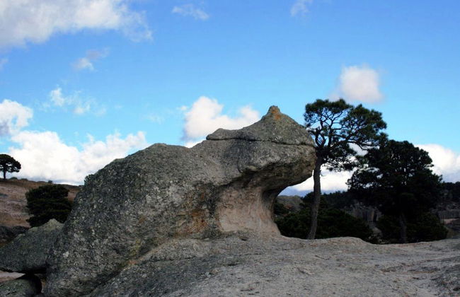 Creel Tour - Photo 4