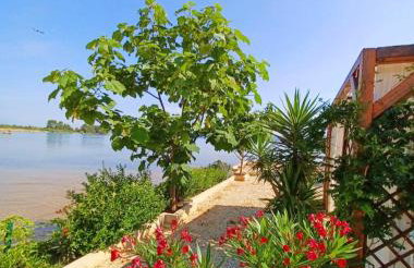 House GITA - Photo 4