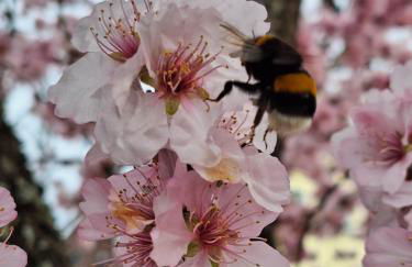 Haus Mittendrin - Foto 29