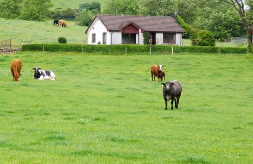 Gean Cottage - Foto 14