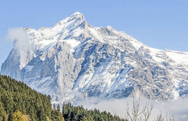 3 bedroom Apartment in Grindelwald with terrace - Photo 28