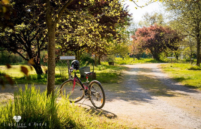 Le Domaine de La Barre - Photo 58