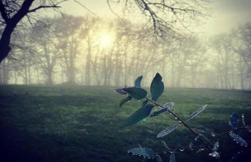 Cottage in Les Eyzies-De-Tayac-Sireuil with pool - Photo 21