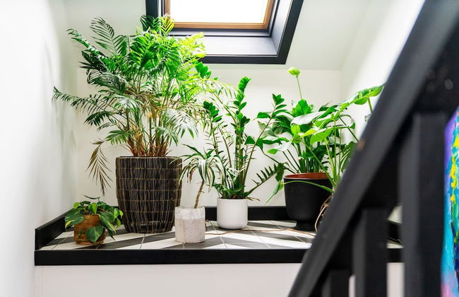 Lecropt House Pet Friendly Stays Inverurie Aberdeenshire - Foto 72