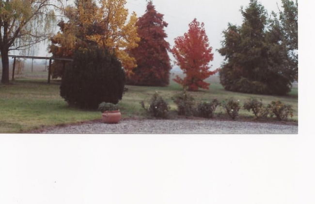 Alla Cedrara agriturismo - Foto 30