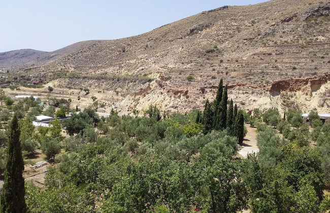 Cortijos Manzano - Photo 23