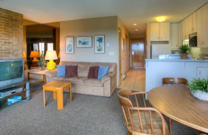 The Grey Gull - Foto 106