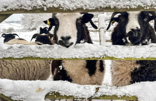 The Carriage - Uk48947 - Foto 11