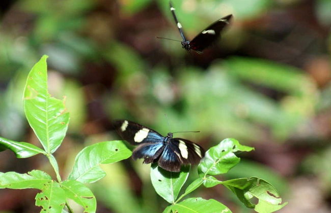 Escursione di 2 giorni alla Reserva Naturale Marasha - Foto 3