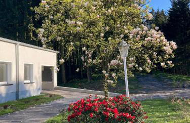 Suiten im alten Berghotel Antonia - Photo 24