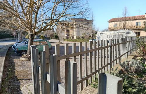 Il gelsomino del Perugino - Photo 6