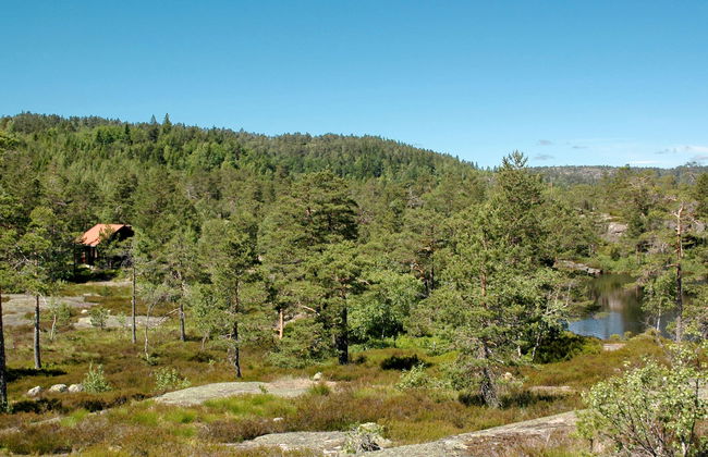 Førevanns Hytta - Foto 17