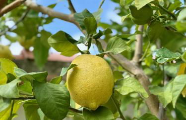 Beautiful Spacious Villa with Mountain View and Private Pool - Foto 13