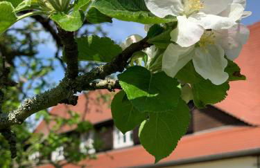 Landhaus Saaleck - Foto 24