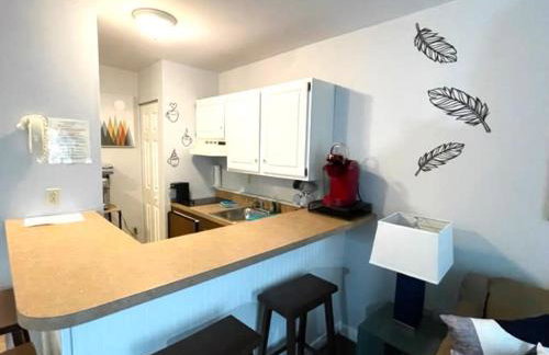 Mountain View Suite on Jiminy Peak Ski On Off -New - Foto 9