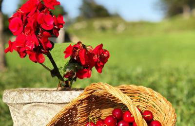 Masia Cap del Roc - Photo 38