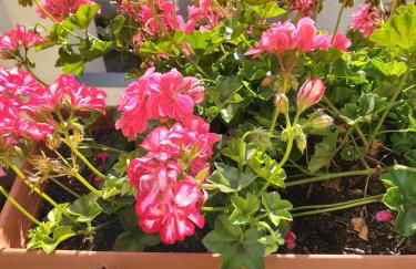 Superapartments in Potsdam - Foto 36