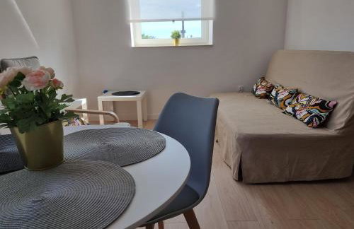 Apartamenty Welskie - Foto 13