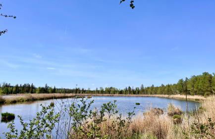 unique Ferienwohnung - Foto 38