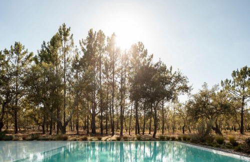 Deluxe Comporta Mundo - Foto 22