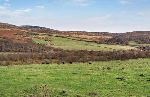 1 Bed in Edzell oc-ca335 - Photo 8