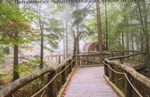 Eifelruhe 3 in Hellenthal - ideal für Familien und Paare mit Hund - voll ausgestattete Küche und zwei Schlafzimmer - Photo 19