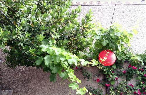 Charming House in Rada with Fenced Garden - Foto 55