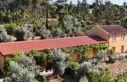 Quinta-lina de serpins - Foto 16